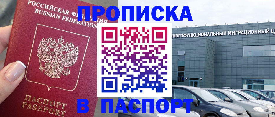 прописка для школы в Борзе